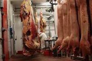Pologne : l’interdiction de l’abattage halal et casher levée