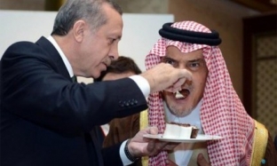 Körfez’de Erdoğan rahatsızlığı
