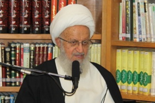 کربلا میں امام حسین علیہ السلام کے چہلم پر عزاداروں کا ہجوم دشمنوں کے لیے خوف و وحشت کا سبب بنا