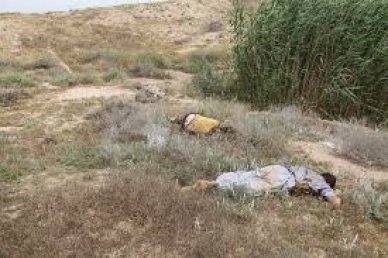 مقتل 15 مسلحا من داعش في غارة جوية في بيجي