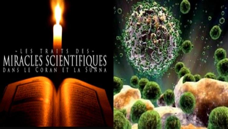 Le miracle du saint Coran et de la sunna dans le traitement des maladies sexuellement transmissibles