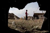 فلسطین میں ایک ہزار رہائشی مکانات منہدم کر دئیے گئے