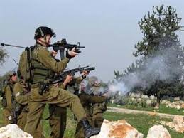 صہیونی فوجیوں کی فلسطینی ماہیگیروں پر فائرنگ