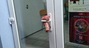 Schweinekopf an Wiener Moschee entdeckt