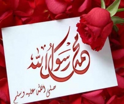 اسلامی اتحاد کے استحکام پرزور