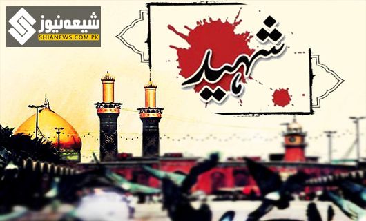 سال 2014ء، صوبہ بلوچستان میں شیعہ نسل کشی کے واقعات میں 73 افراد نے جام شہادت نوش کیا