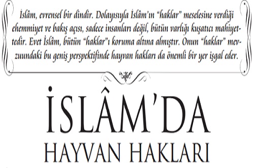 Hadisler Işığında İslam’da Hayvan Hakları