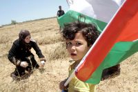 صہیونی رژیم کا فلسطینیوں کی زرعی زمینوں پر حملہ