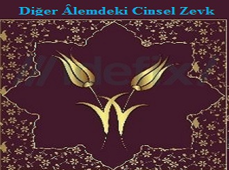 Diğer Âlemdeki Cinsel Zevk