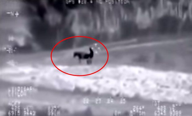 ISIS uses donkeys to transport gear and explosives north of Muqdadiyah