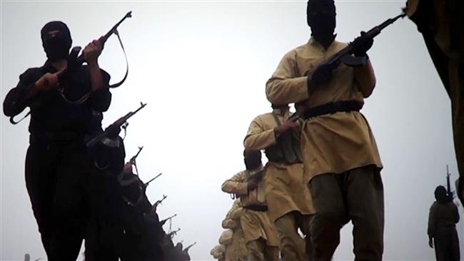 Sweden confirms 100 citizens fighting for ISIL