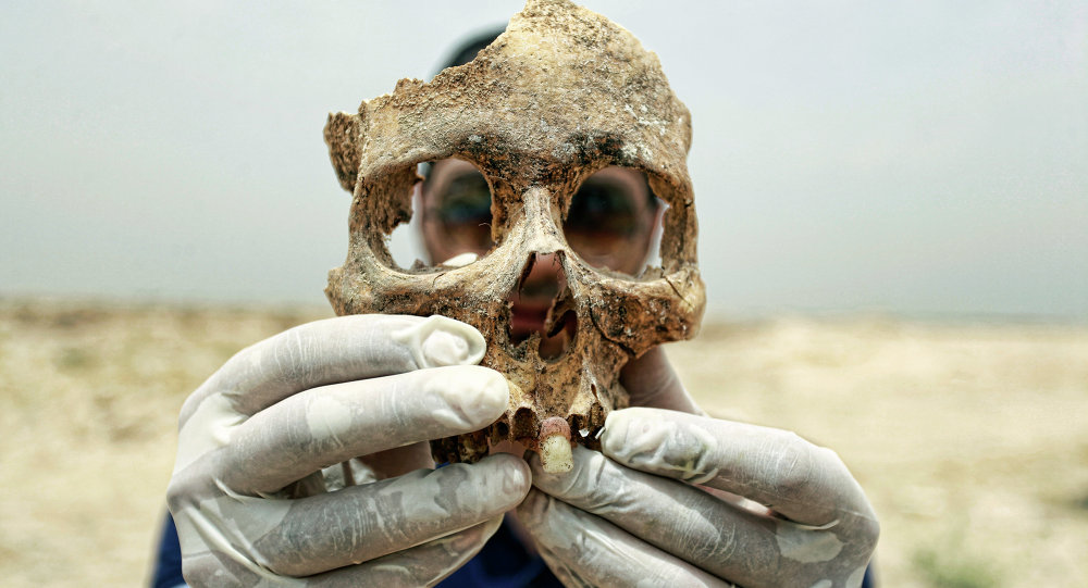 Mass Grave of 25 Yazidis Slaughtered by ISIL Found in Iraq + Photos