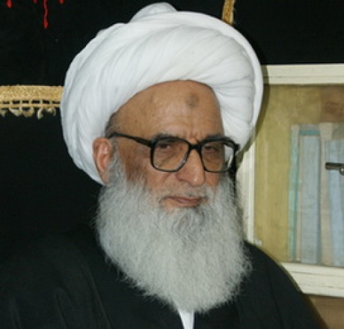 آیت الله بشیر نجفی: بڑے ممالک دہشت گردوں کے حامی ہیں