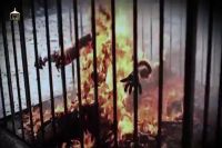 حزب اللہ لبنان کی جانب سے اردنی پائلٹ کے قتل کی مذمت