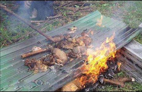 داعش دہشتگرد گروہ، عراق میں بچوں کوزندہ جلا رہا ہے