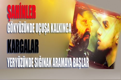 Şahinler Gökyüzünde Uçuşa Kalkınca Kargalar Yeryüzünde Sığınak Aramaya Başlar