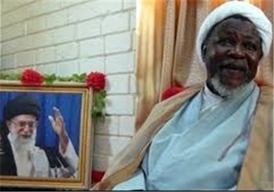 Top Iranian, Nigerian Clerics Discuss Islamic Awakening Wave