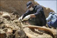 شمالی عراق میں ایک اجتماعی قبردریافت