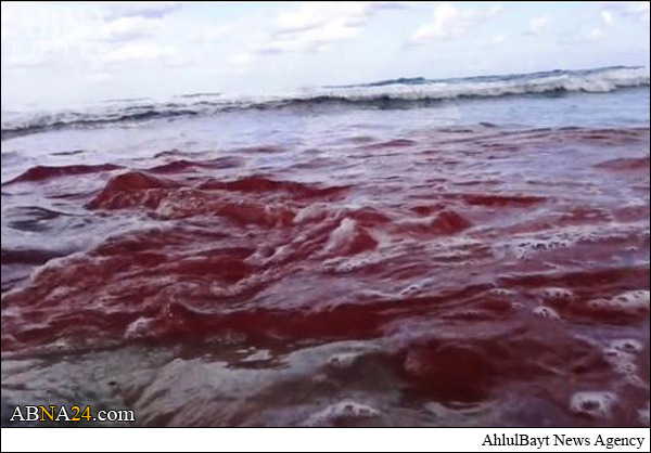 Photos: ISIS Beheads 21 Christians in Egypt (Graphic)