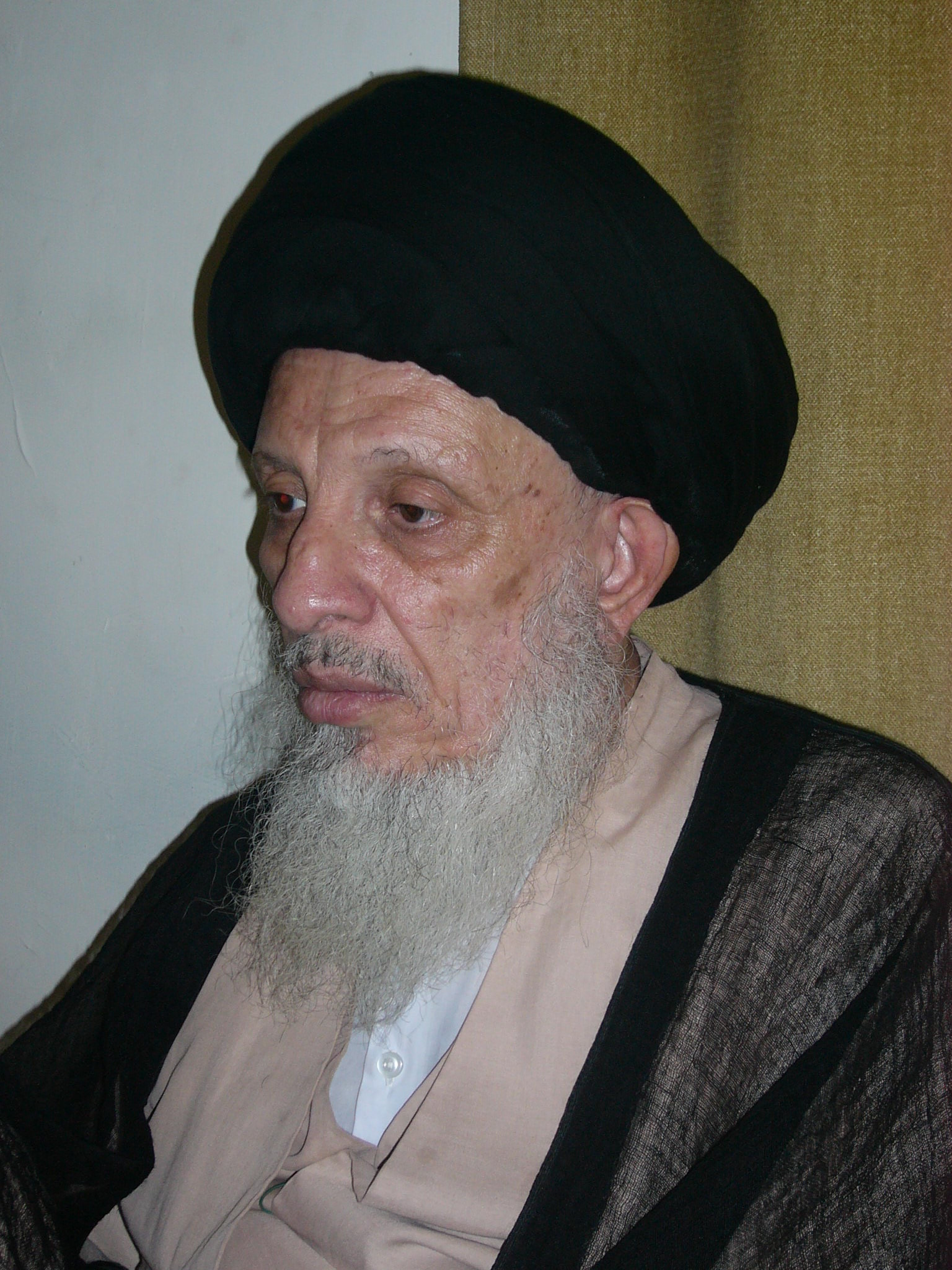 Ayatollah Sa'id al-Hakim: Shiites Main Victims of Extremism