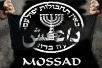 عراق؛ شمالی علاقوں میں آٹھ ہزار دھشتگرد ہلاک