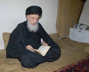 دہشتگردی کا بنیادی مقصد شیعہ مسلمانوں کا قتل عام: آیت اللہ سیدالحکیم