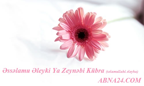 Bu gün həzrəti Zeynəbi Kübranın (s) mövludu günüdür