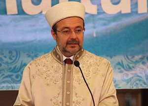 Религиозный лидер Турции осудил австрийский законопроект о мусульманах