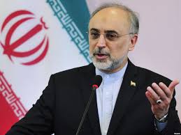 جنیوا مذاکرات میں قابل ذکر اقدامات اٹھائے ہیں: ایرانی جوہری تونائی سربراہ