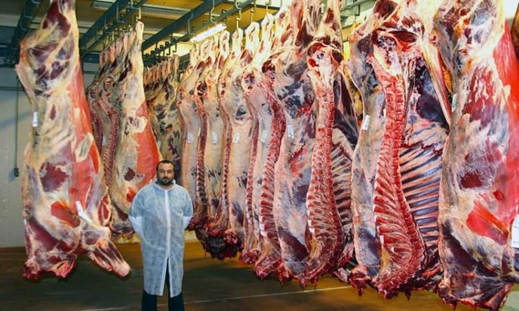 ڈنمارک میں جانوروں کو ذبح کرنے پر پابندی