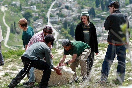 Jewish extremist settlers uproot 300 olive trees in al-Khalil