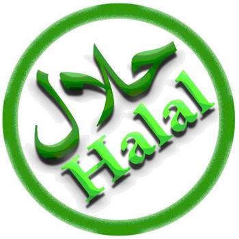 Iran plant Kreierung einer Drehscheibe für Halaltourismus