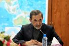 Velayati:In der Nuklearfrage bewegt sich Teheran im Rahmen der internationalen Vorschriften 