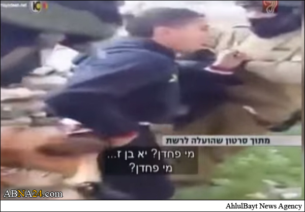 مشهد يظهر وحشية الصهاينة.. جنود إسرائيليون يطلقون كلباً على فتى فلسطيني 