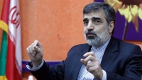 فنی مسائل کے حل سے ایٹمی مذاکرات میں تیزی آئے گی