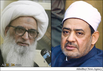 الازہر کے حیرت انگیز بیان پر نجف اشرف کے مرجع تقلید کا رد عمل