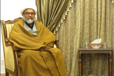 مجلس وحدت مسلمین بلدیاتی انتخابات میں بھرپور حصہ لے گی، علامہ راجہ ناصر عباس جعفری