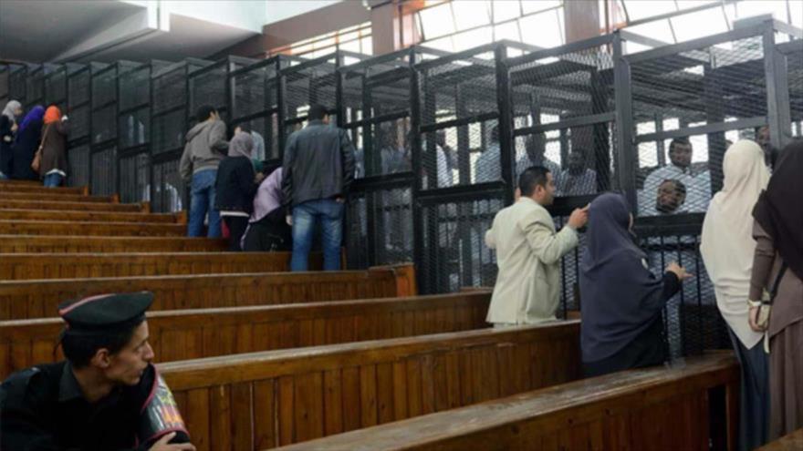 Egypte jugera 379 membres de FM