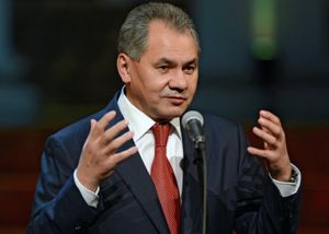 Шойгу: некоторые государства используют террористов в своих целях