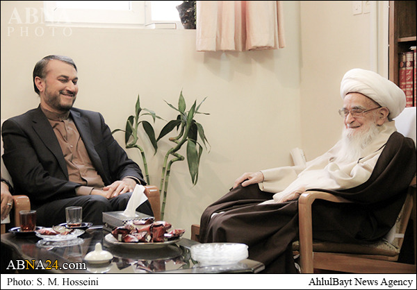  Ayatollah Safi Golpayegani: FM should cut off hands of tyrants from Yemen