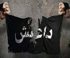 داعش کے سینئر عہدہ دار سمیت پانچ کمانڈر ہلاک