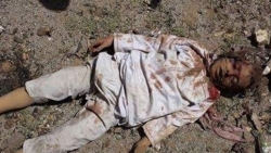 آل سعود کے حملوں کا اصل ہدف بنیادی تنصیبات