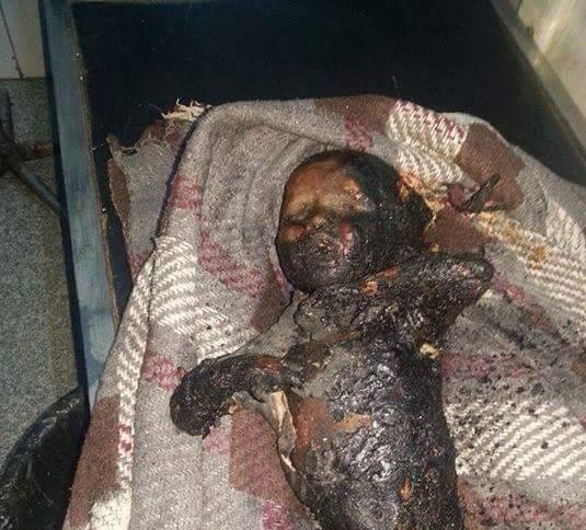 Saudi-led Coalition Using Cluster Bombs in Yemen: HRW 