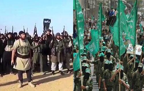 La guerre éclate entre Daech et Hamas à Gaza    