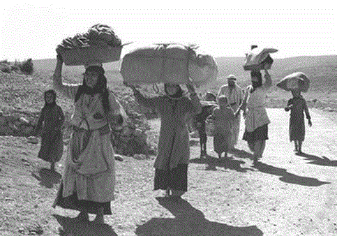  “Al – Nakba”… facts and numbers  - report