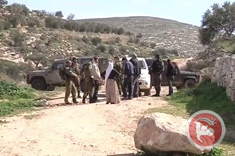 Extremist Jewish Settlers Destroy 250 Olive Trees in al-Khalil