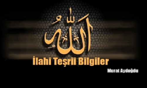 Allah'ın Teşrii Bilgisi