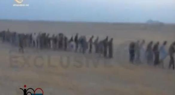 About 700 ISIS militants captured alive by Iraqi forces after begging operation to liberate al-Ramadi / Video