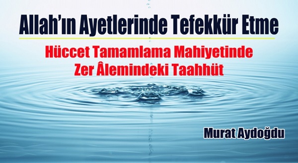 Hüccet Tamamlama Mahiyetinde Zer Âlemindeki Taahhüt