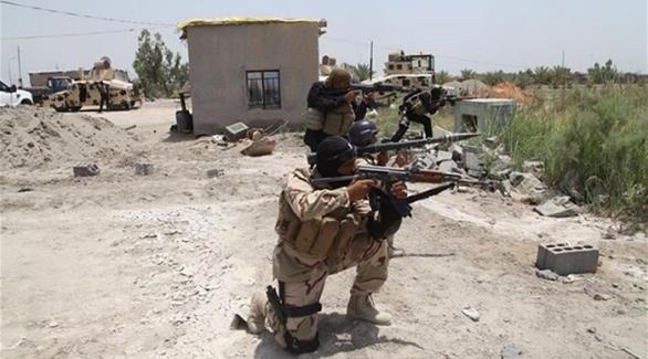Iraqi army kill 7 terrorists, including Saudi national in Fallujah